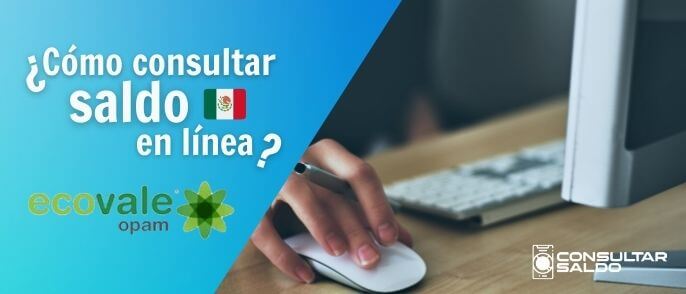 consultar-saldo-ecovale